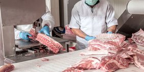 Arbeiter in der Fleischindustrie zerlegen Fleischstücke