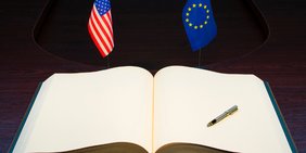 Buch, Fahne EU und USA