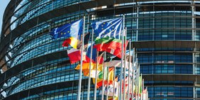 Fahnen der EU und EU-Länder vor einer Glasfassade (Europäisches Parlament)