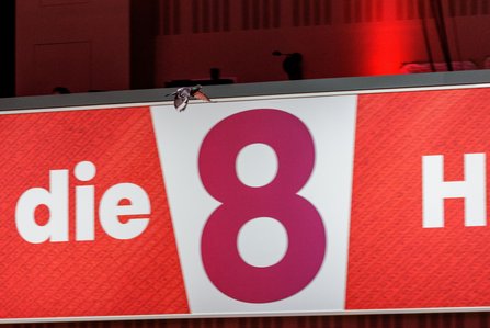 Eine Taube sitzt auf dem Rand eines großen Transparents mit der Zahl „8" und dem Wort „die" in der Kongresshalle.